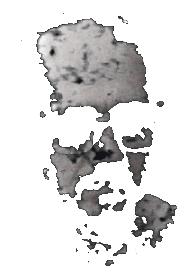 Cibertortura